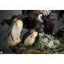869€ DC Comics Estatua Premium Format The Penguin 51 cm