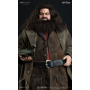 1299€ Rubeus Hagrid JND Harry Potter 1/6 Base extendida