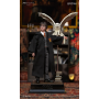 479€ Harry Potter 1/6 LITE version